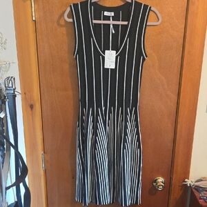 Adore Black and White Striped Midi Dress